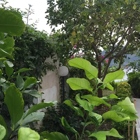 Apartmán C